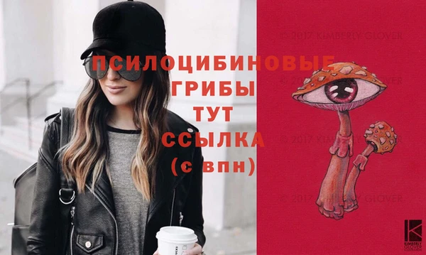 стафф Карталы