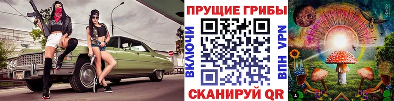 Галлюциногенные грибы GOLDEN TEACHER  Купить  Олонец 